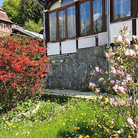 Vila Bradet Buşteni Dış mekan fotoğraf