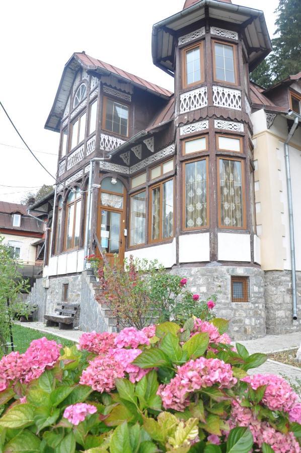 Vila Bradet Buşteni Dış mekan fotoğraf