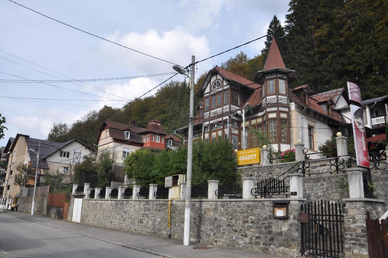 Vila Bradet Buşteni Dış mekan fotoğraf