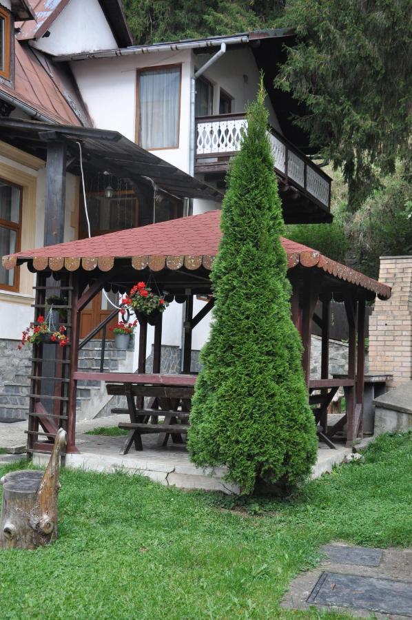 Vila Bradet Buşteni Dış mekan fotoğraf