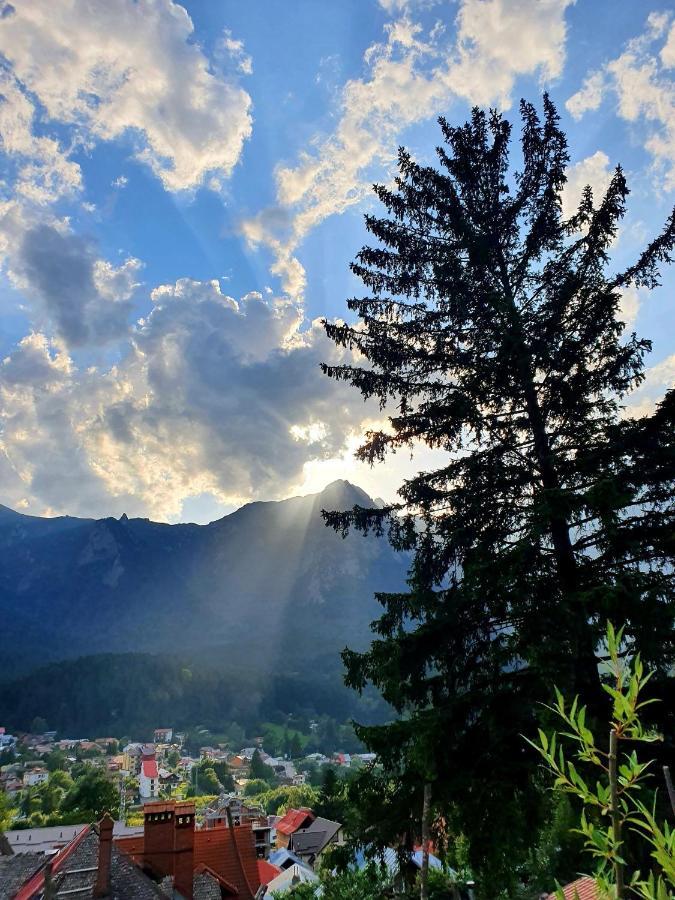 Vila Bradet Buşteni Dış mekan fotoğraf