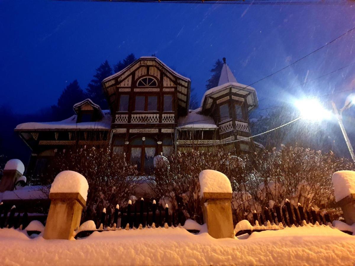 Vila Bradet Buşteni Dış mekan fotoğraf