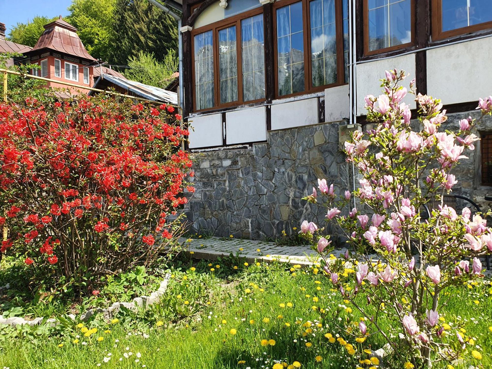 Vila Bradet Buşteni Dış mekan fotoğraf