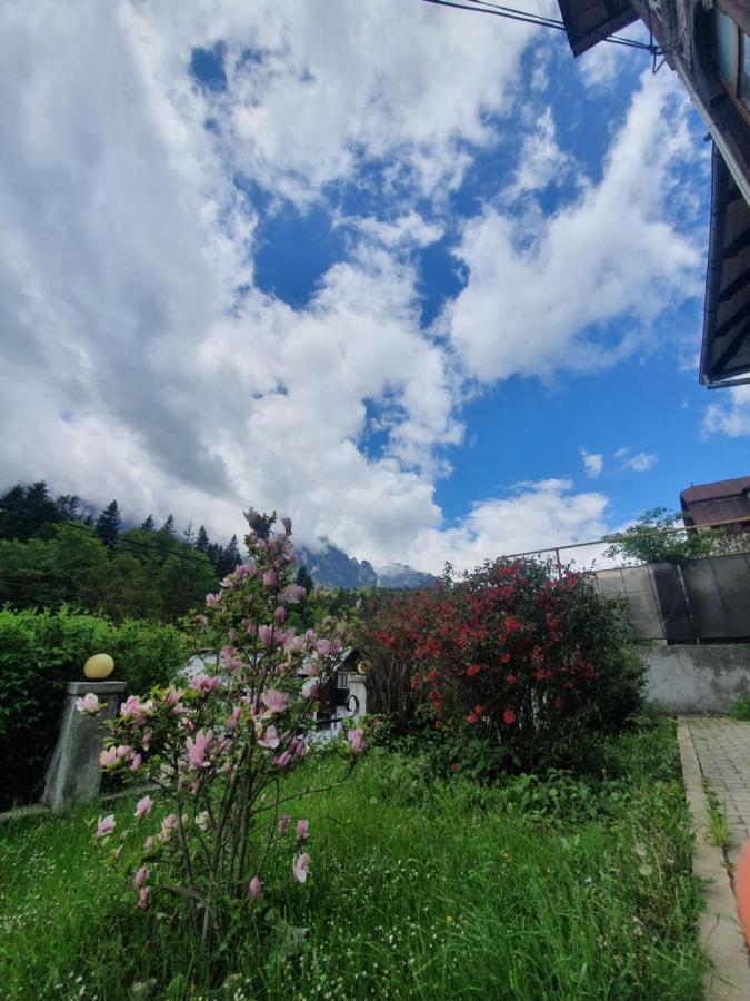 Vila Bradet Buşteni Dış mekan fotoğraf